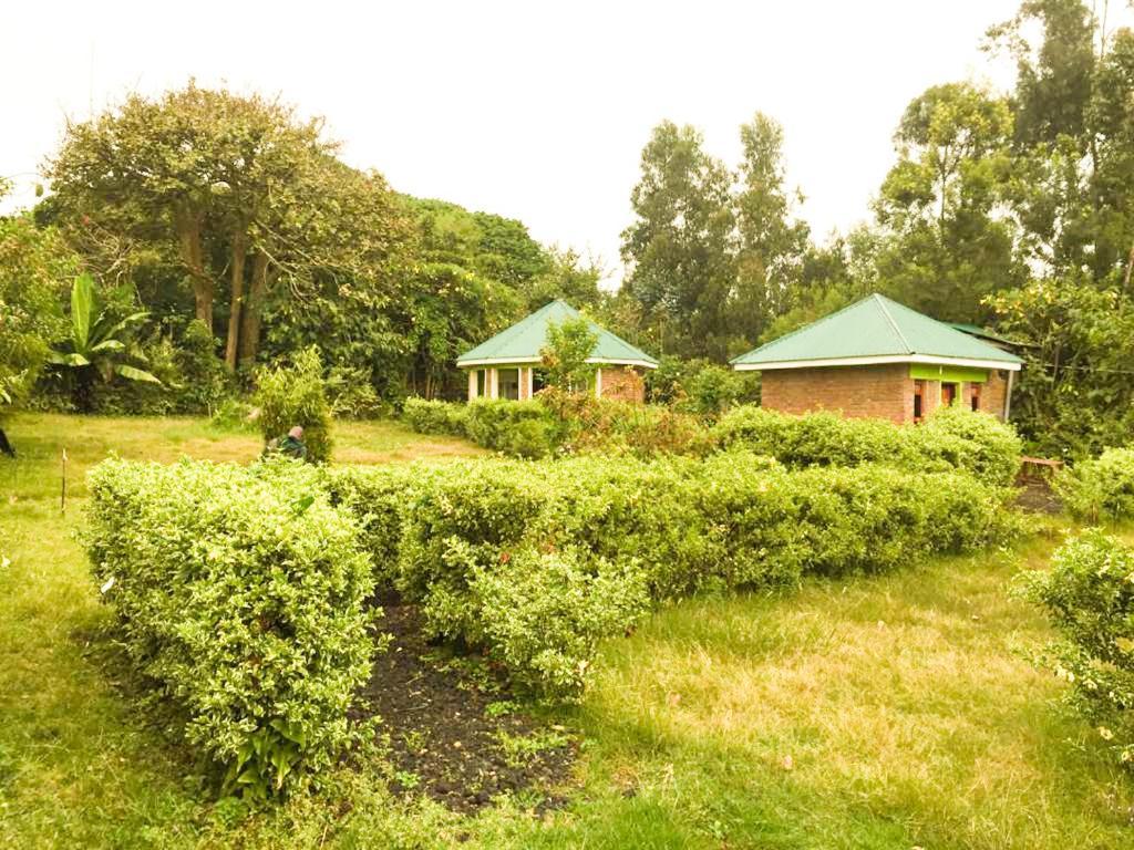Amajambere Iwacu Community Camp Hotel Kisoro Luaran gambar