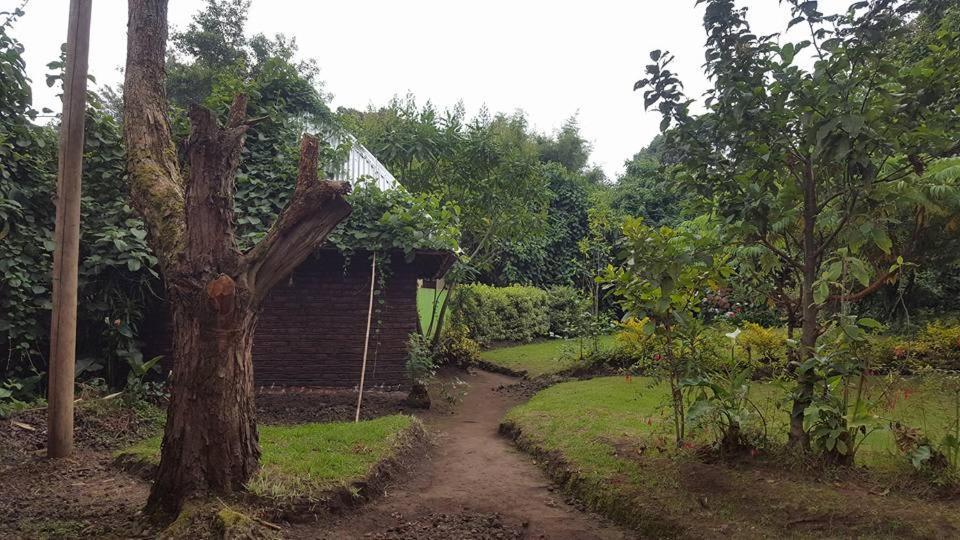 Amajambere Iwacu Community Camp Hotel Kisoro Luaran gambar